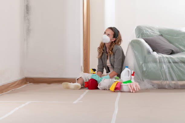Reliable Mold Remediation contractor in Rockwood, MI by Car Mold Remediation